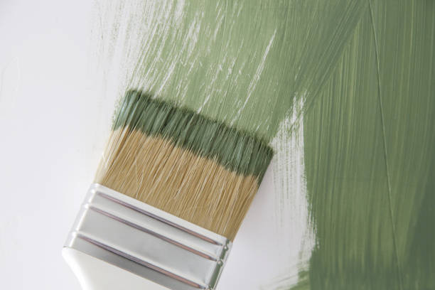 Mold Documentation for Insurance Claims in Gore, OK
