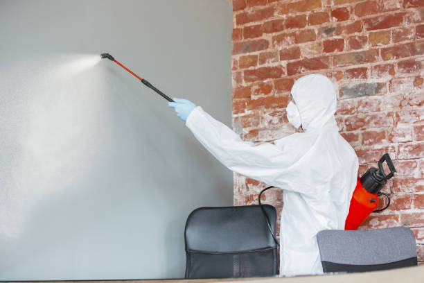 Reliable Gore, OK Mold Removal Solutions