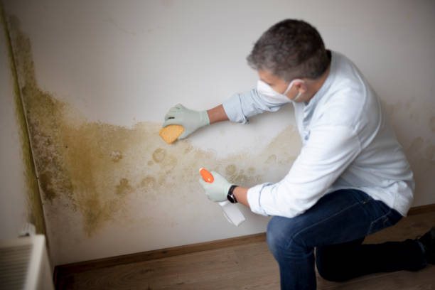 Dehumidification Services in Gore, OK