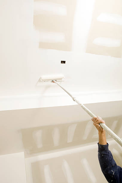 Best Industrial Mold Remediation  in Gore, OK